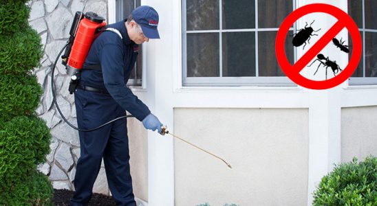 Bostanlı Böcek İlaçlama böcek ilaçlama ve haşere kontrolü — ilaclama-tr.com